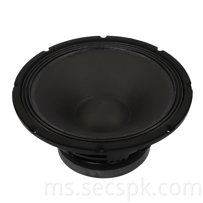 15inch Concert Speaker